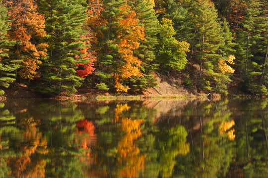 Top or Best Cartoons & Comics Agencies and Companies in Vienna, West Virginia