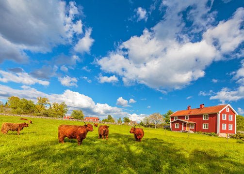 Top or Best Talent Management Agencies and Companies in Sweden