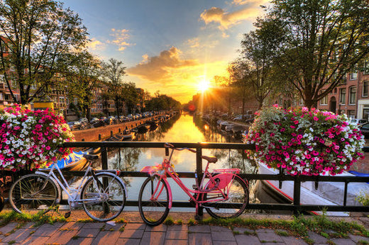 Top 5 Email Campaign Design Agencies in the Netherlands