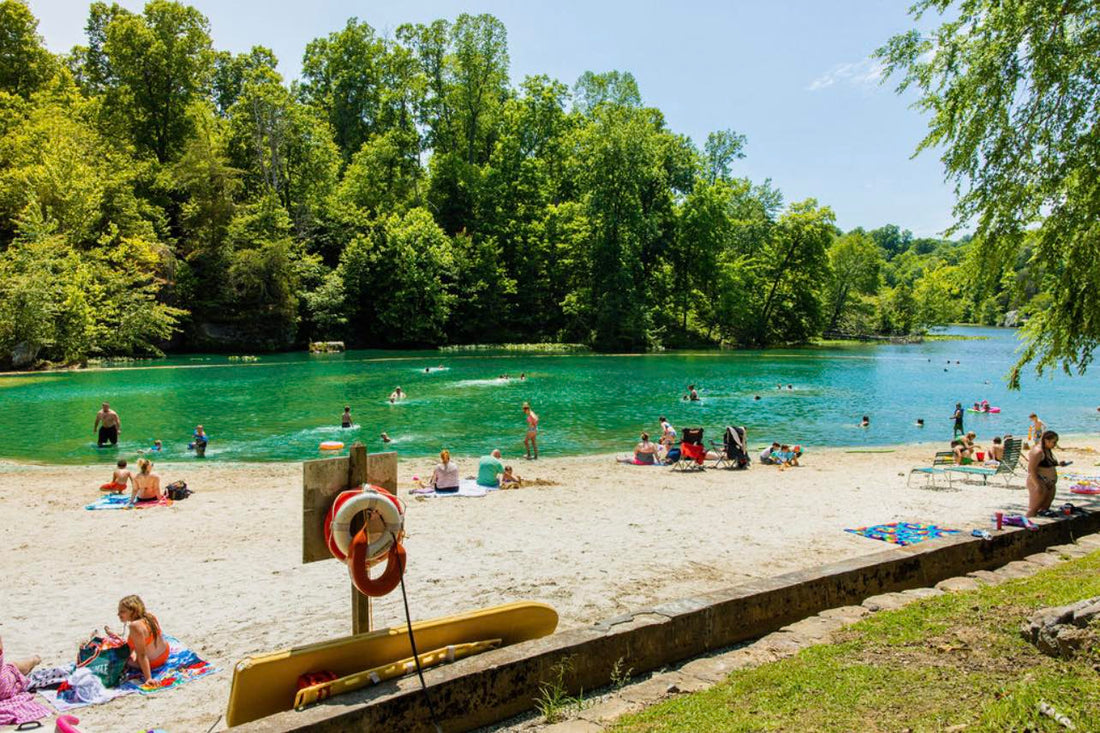 Best or Top Drawing & Illustration Agencies and Companies in Hopkinsville, Kentucky