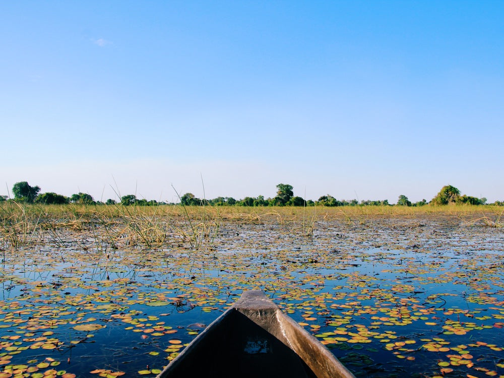 Top Copywriting Agencies in Botswana