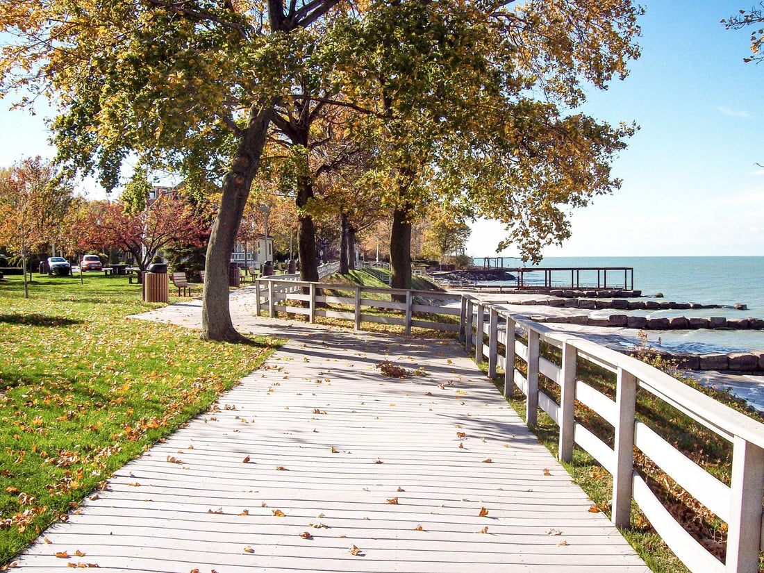 Top or Best Invitation Design Agencies and Companies in Bluefield, West Virginia