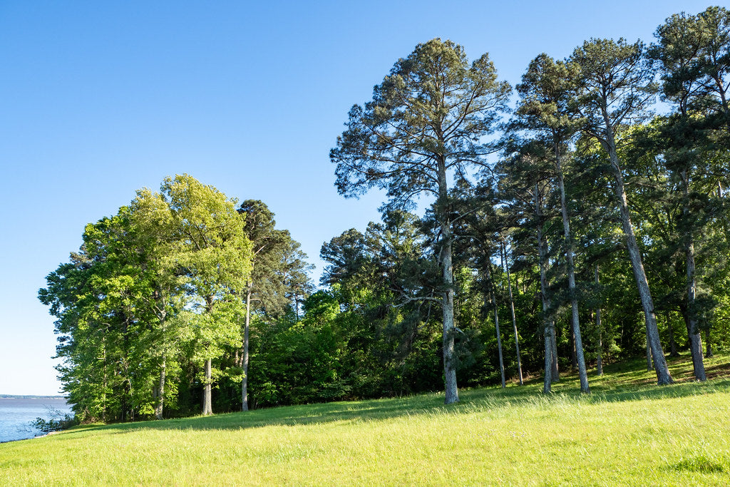 Best or Top Direct Mail Design Agencies and Companies in Madison, Mississippi