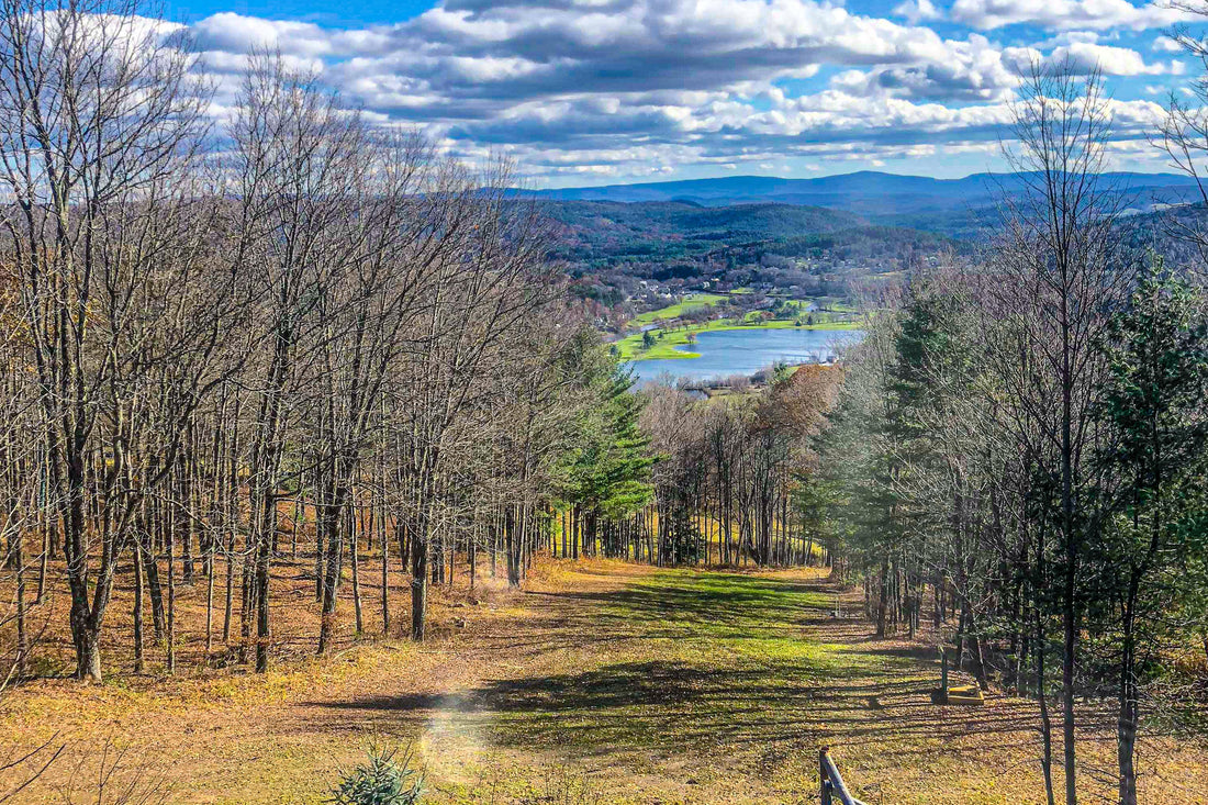 Top or Best Infographic Design Agencies and Companies in Hartford, Vermont