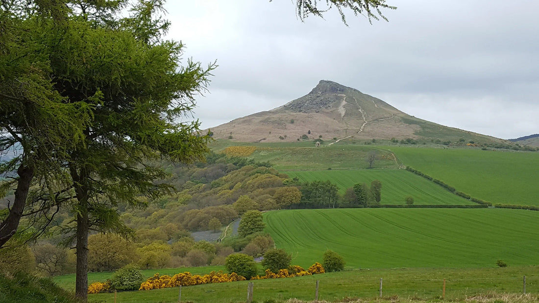 Top or Best Stationery Design Agencies and Companies in Teesside, England