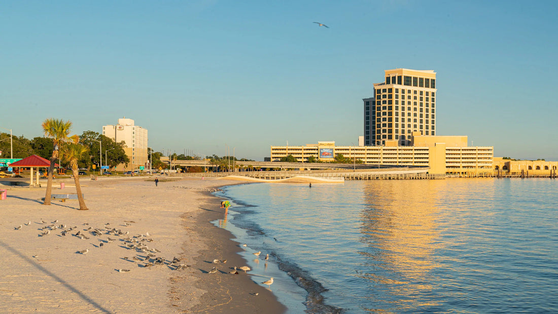 Top or Best Flyer Design Agencies and Companies in Biloxi, Mississippi
