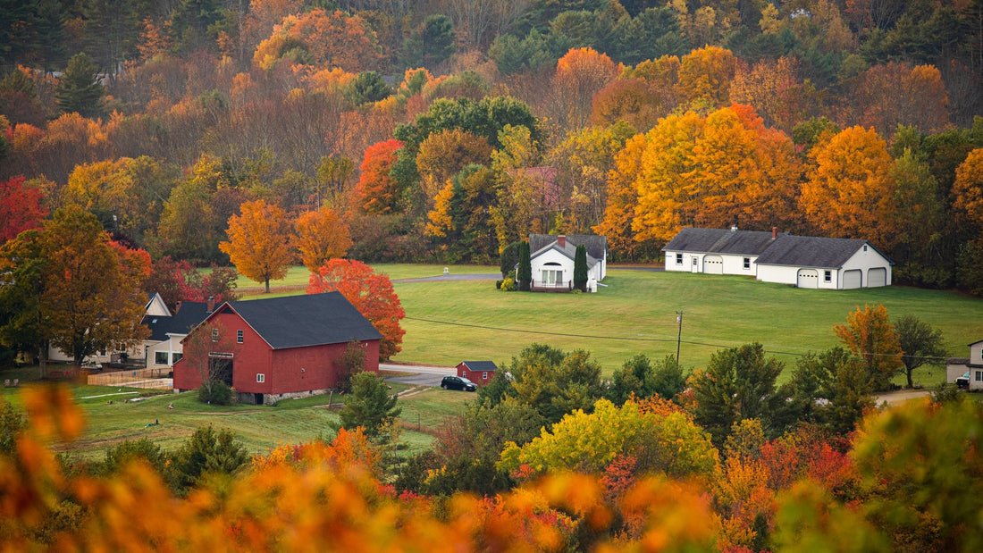 Best Web & Mobile Design Agencies	in Maine