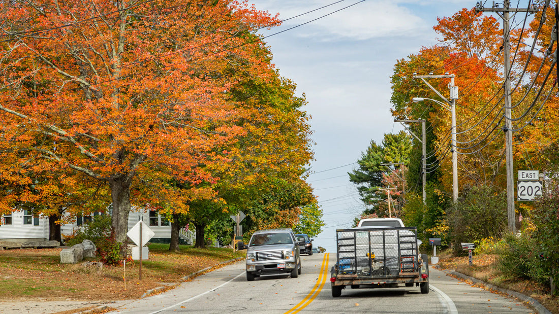 Top or Best Animation & Motion Graphics Agencies and Companies in Windham, Maine