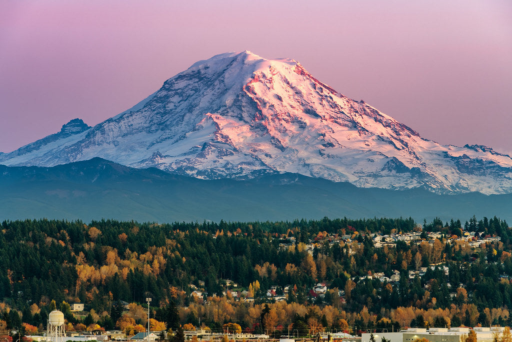 Top or Best Mural Design Agencies and Companies in Auburn, Washington