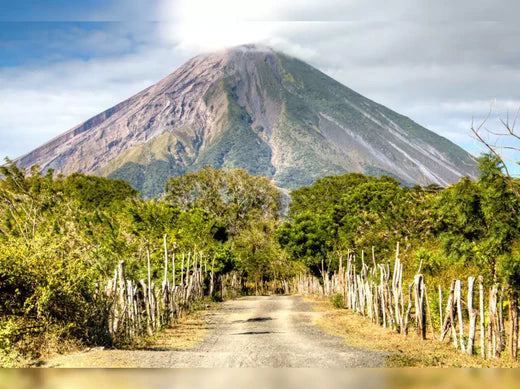 Top 5 NFT Art Agencies in Nicaragua