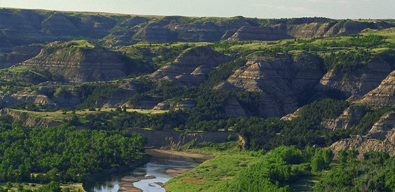 Top or Best Web & Mobile Design Agencies and Companies in New Town, North Dakota