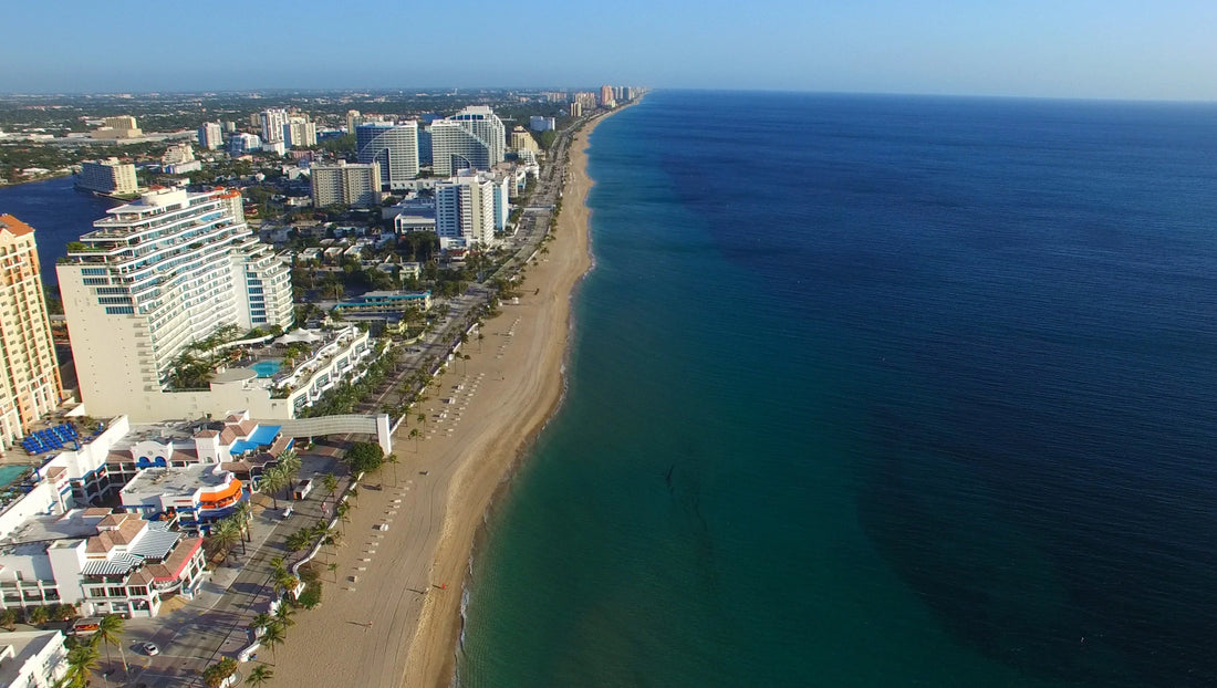 Top or Best Drawing and Illustration Agencies and Companies in Pompano Beach, Florida