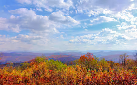 Top or Best Twitch Management Agencies and Companies in Teays Valley, West Virginia