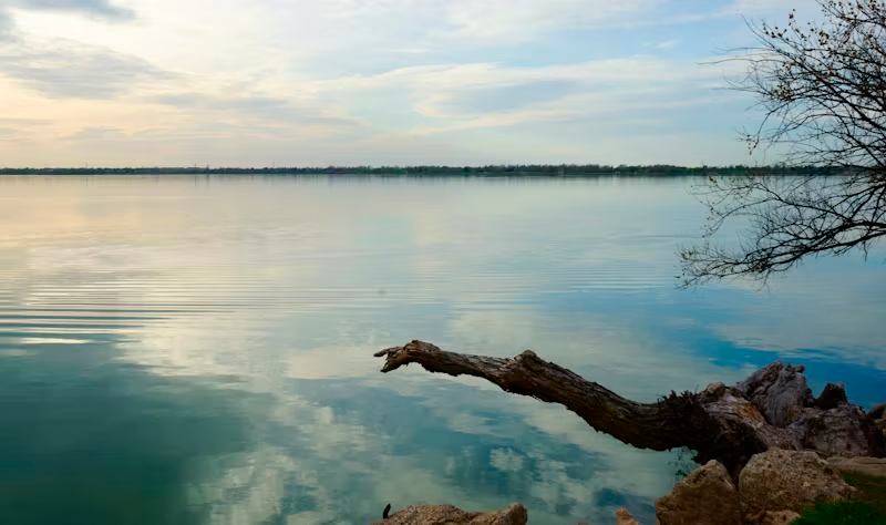 Top or Best Cartoons & Comics Agencies and Companies in Broken Arrow, Oklahoma