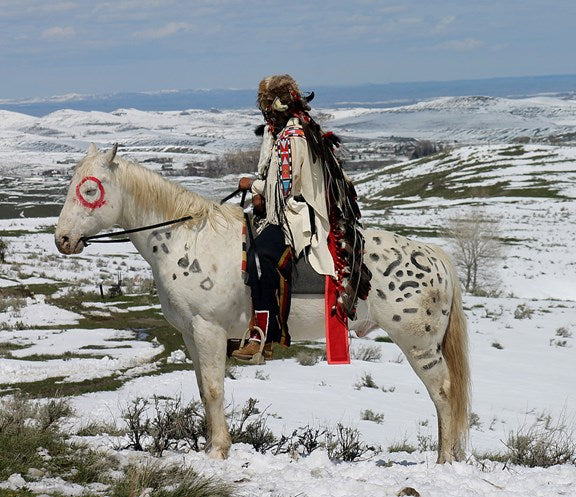 Top or Best Brochure Design Agencies and Companies in Buffalo, Wyoming