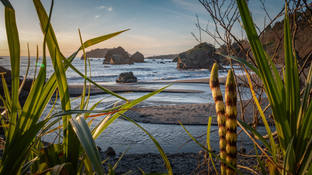 Top or Best Photo Editing Agencies and Companies in Fontana, California