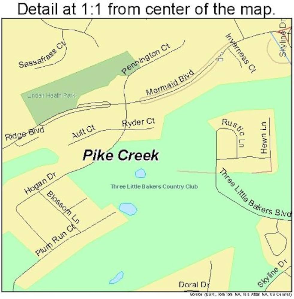 Top or Best Infographic Design Agencies and Companies in Pike Creek, Delaware