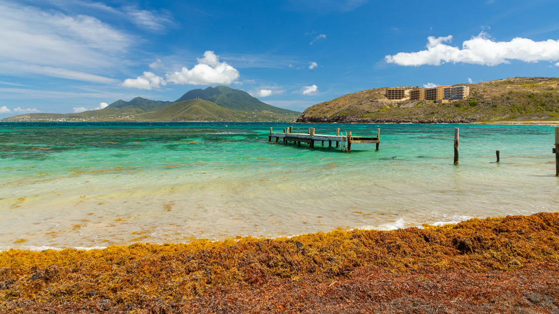 Top or Best Athlete Brand Partnership Agencies and Companies in Saint Kitts & Nevis