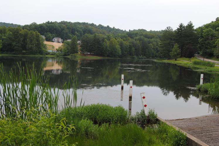 Top or Best Virtual Background Design Agencies and Companies in Bridgeport, West Virginia