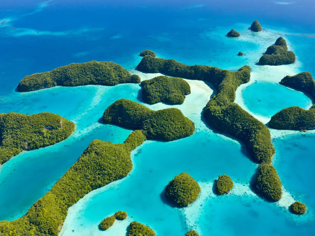 Top or Best Influencer Agency for Palauan Influencers