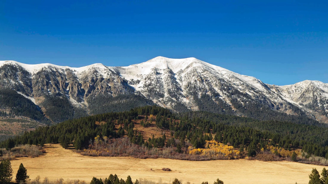 Top or Best Virtual Background Design Agencies and Companies in Bozeman, Montana
