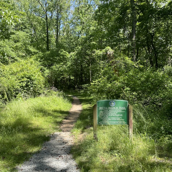 Top or Best Menu Design Agencies and Companies in Chapel Hill, North Carolina