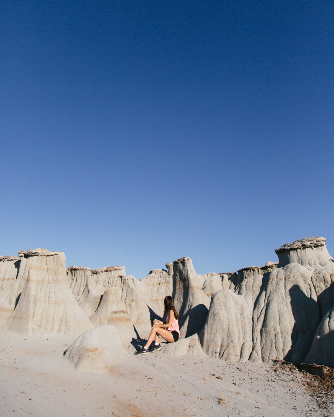 Top or Best Brochure Design Agencies and Companies in Dickinson, North Dakota