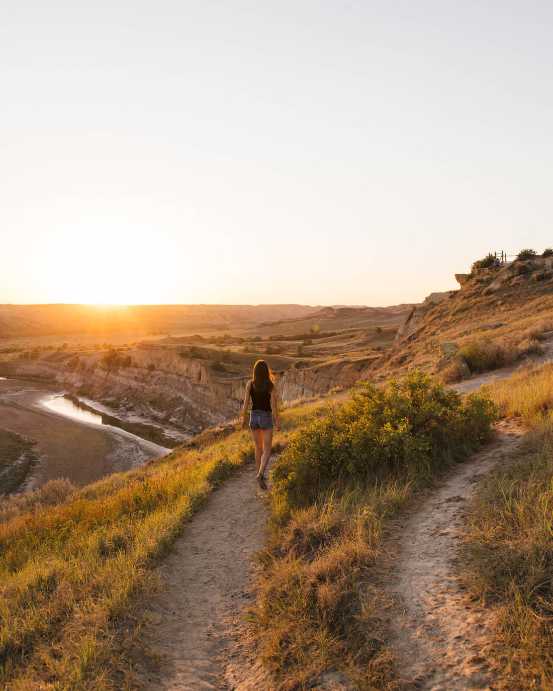 Top or Best Social Media Management Agencies and Companies in Dickinson, North Dakota