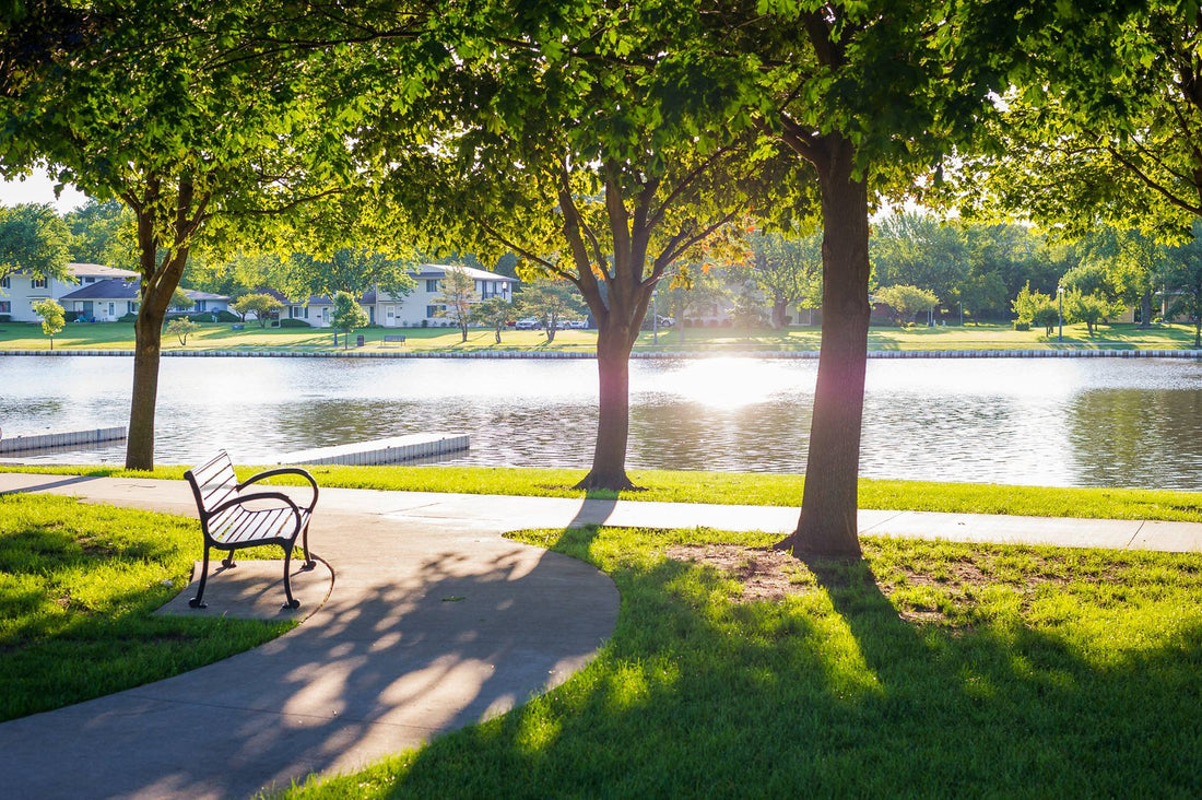 Top or Best Brand Identity Package Design Agencies and Companies in Schaumburg, Illinois