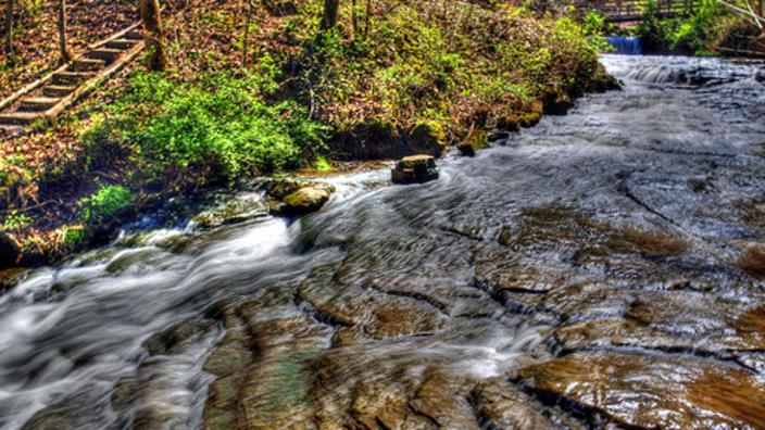 Top or Best Social Media Management Agencies and Companies in Radcliff, Kentucky