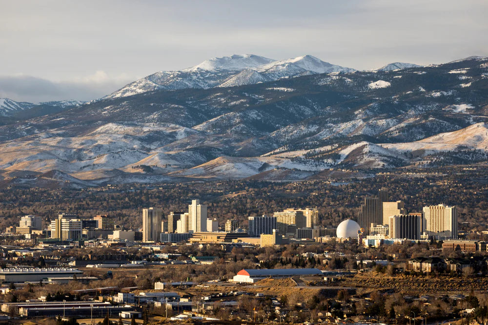 Best or Top Portraits & Caricatures Agencies and Companies in Reno, Nevada