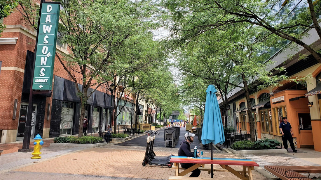 Top or Best TikTok Management Agencies and Companies in Rockville, Maryland