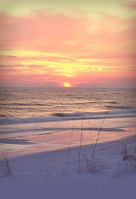 Top or Best Menu Design Agencies and Companies in Spanish Fort, Alabama