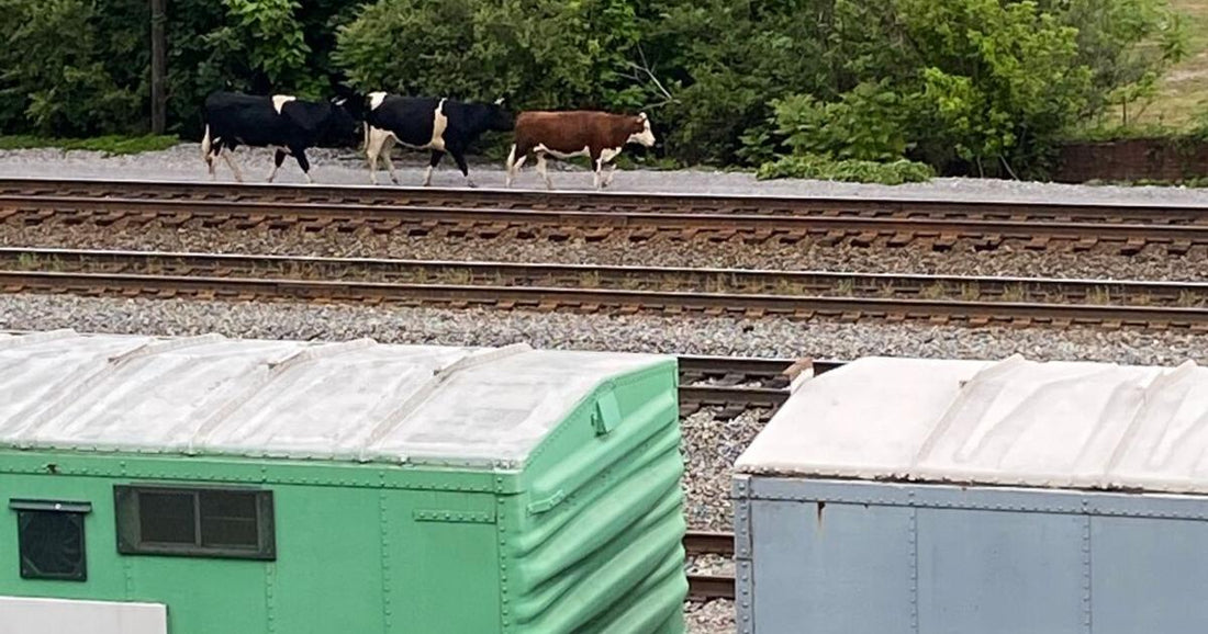 Top or Best Flyer Design Agencies and Companies in Bluefield, West Virginia