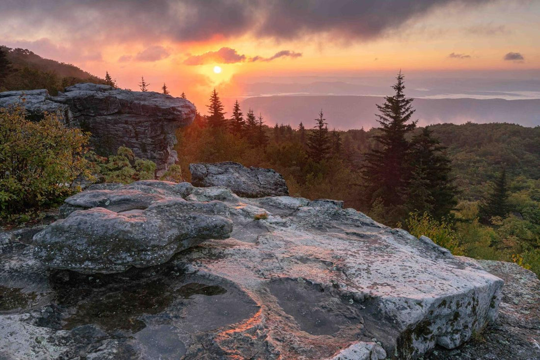 Top or Best Menu Design Agencies and Companies in Teays Valley, West Virginia