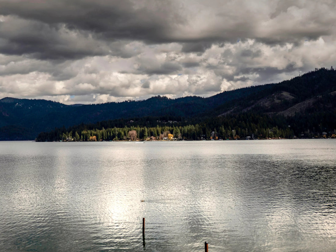 Top or Best NFT Art Agencies and Companies in Hayden, Idaho