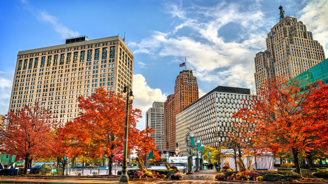Best or Top Virtual Background Design agencies and Companies in detroit, Michigan