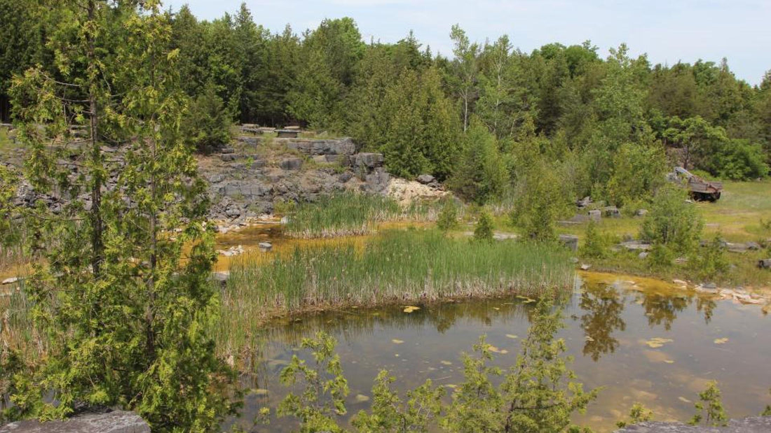 Top or Best Email Campaign Design Agencies and Companies in Marysville, Washington