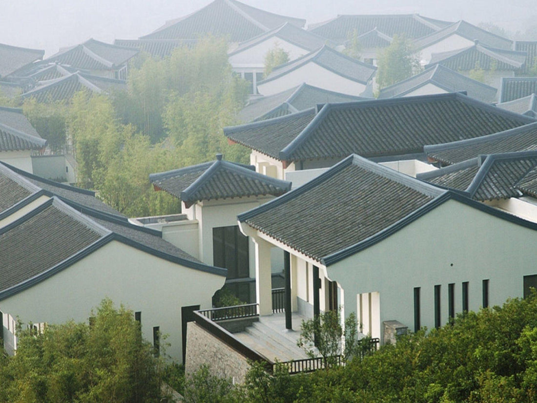 Top Athlete Management Agency in Fuyang, China