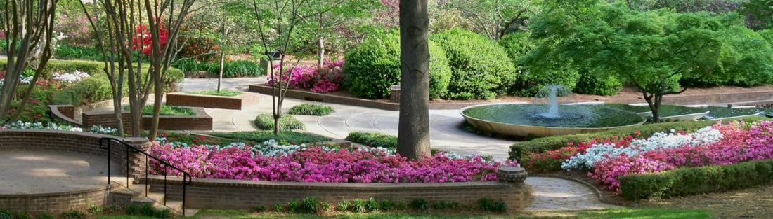 Top or Best X (Twitter) Management Agencies and Companies in Rock Hill, South Carolina