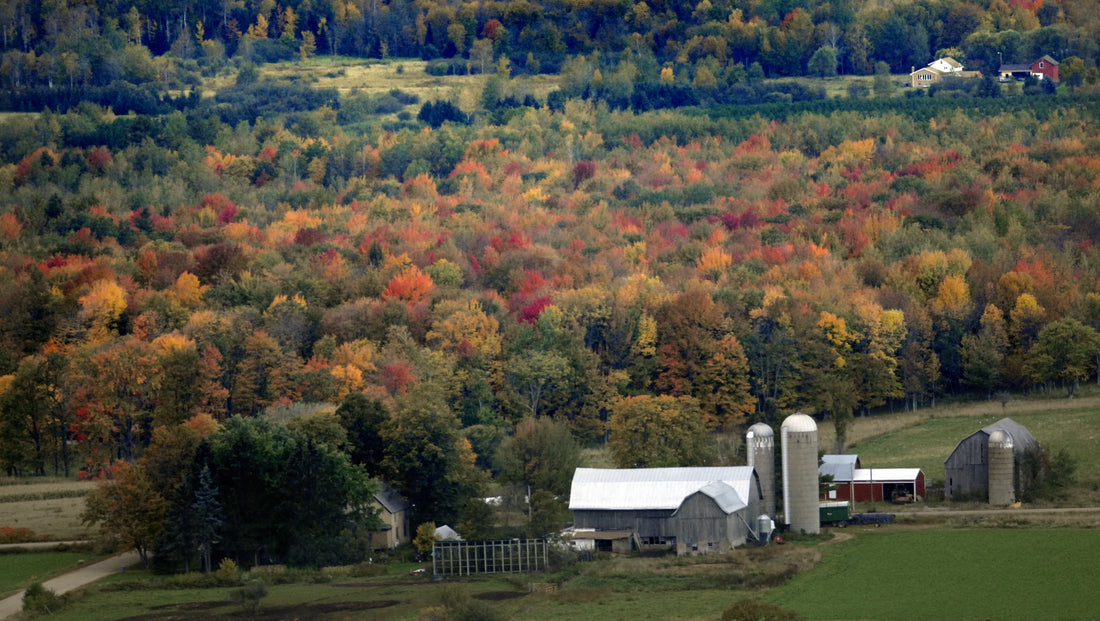 Top or Best Invitation Design Agencies and Companies in Wausau, Wisconsin