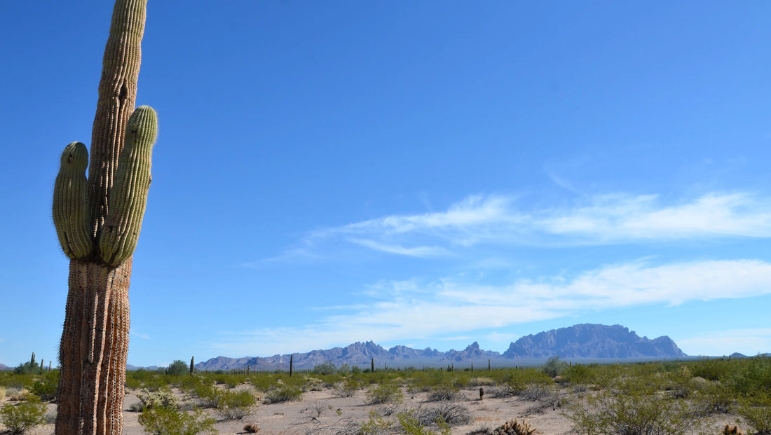 Top or Best Brand Identity Package Agencies and Companies in Yuma, Arizona