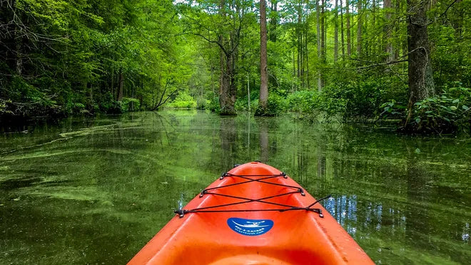 Top or Best Cartoons and Comics Agencies and Companies in Smyrna, Delaware