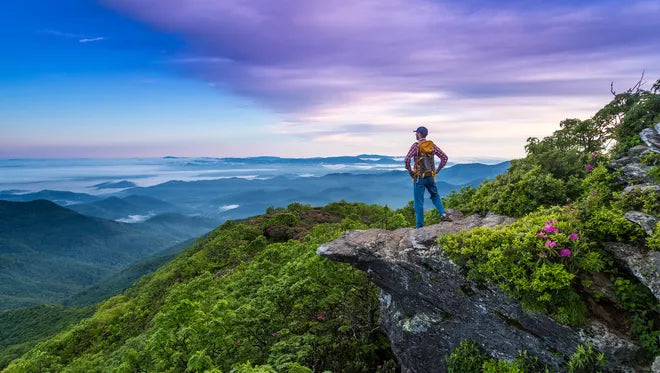 Top or Best Poster Design Agencies and Companies in Asheville, North Carolina