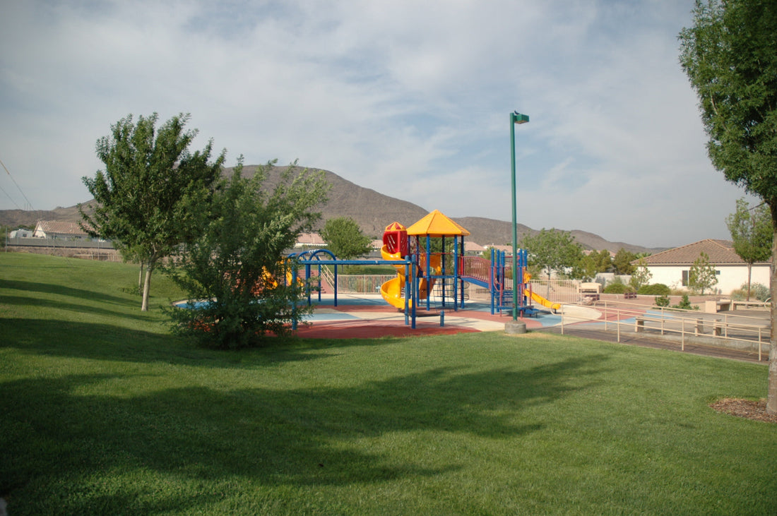 Best or Top Infographic Design Agencies and Companies in Henderson, Nevada
