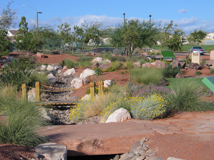 Best or Top AR Filters & Lenses Agencies and Companies in Henderson, Nevada