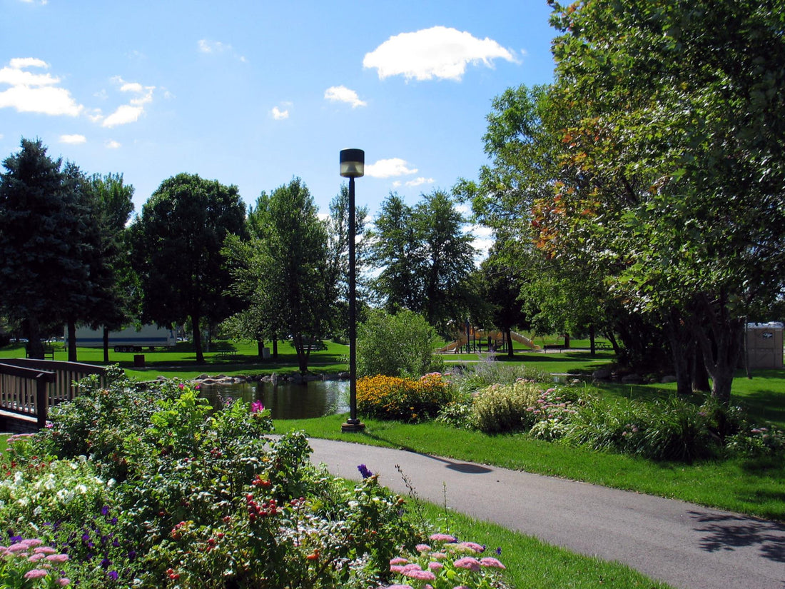 Top or Best Social Media Design Agencies and Companies in Brooklyn Park, Minnesota