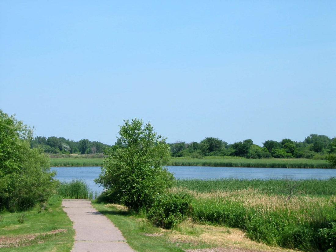 Top or Best Web & Mobile Design Agencies and Companies in Brooklyn Park, Minnesota