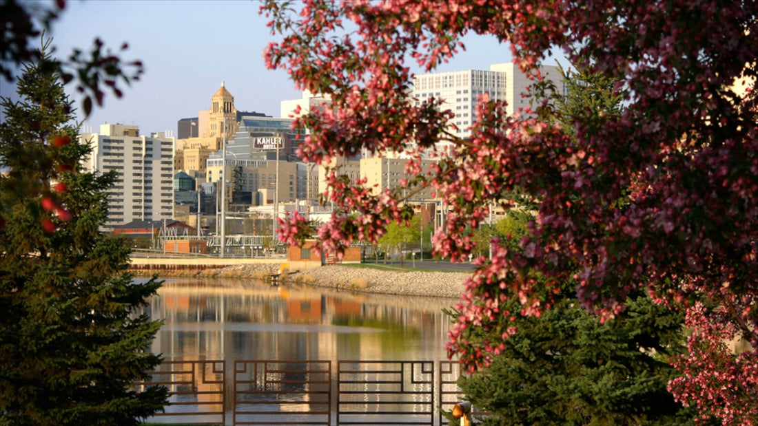 Top or Best Direct Mail Design Agencies and Companies in Rochester, Minnesota