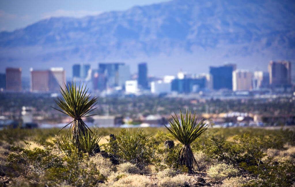 Best or Top Brand Identity Packages Agencies and Companies in North Las Vegas, Nevada